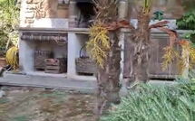 Foto ingestuurd door een gast van Casale di Cozzile