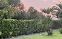 Foto ingestuurd door een gast van Cala Marina