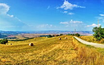 Foto ingestuurd door een gast van Casale Santa Francesca