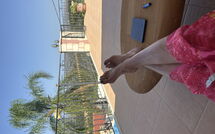 Foto ingestuurd door een gast van Villa Kois