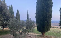 Foto ingestuurd door een gast van Casale Santa Francesca