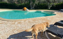 Foto ingestuurd door een gast van Lamia Santo Arcangelo