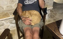 Foto ingestuurd door een gast van Villa Armonia