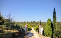 Foto ingestuurd door een gast van Podere Romina - Bandita Apartment