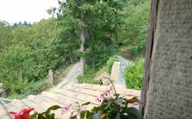 Foto ingestuurd door een gast van Villa Margherita Tre