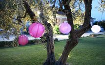 Foto ingestuurd door een gast van Podere Romina - Stalla Apartment