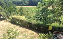 Foto ingestuurd door een gast van Casale Giotto