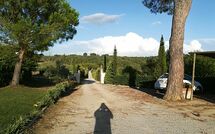 Foto ingestuurd door een gast van Podere Romina - Belvedere Apartment