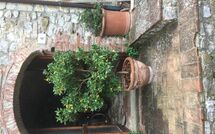 Foto ingestuurd door een gast van La Ruota