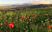 Foto ingestuurd door een gast van Montegufoni