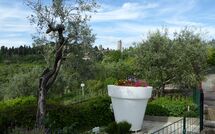 Foto ingestuurd door een gast van Poggiluglio