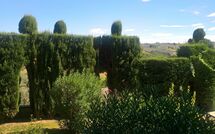 Foto ingestuurd door een gast van Montegufoni