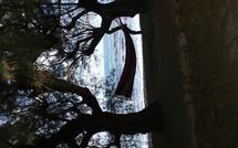 Foto ingestuurd door een gast van Villa Romantic Sevi