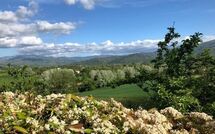 Foto ingestuurd door een gast van Casale Giotto