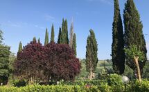 Foto ingestuurd door een gast van Villa Sabrina