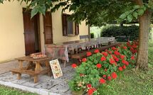 Foto ingestuurd door een gast van Tenuta Cambiano