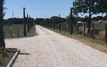 Foto ingestuurd door een gast van Villa dei Vini