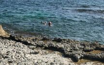 Foto ingestuurd door een gast van Marisol