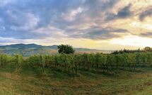 Foto ingestuurd door een gast van San Carlo