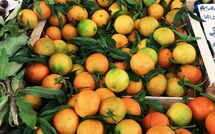 Foto ingestuurd door een gast van San Carlo