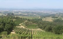 Foto ingestuurd door een gast van Villa Il Caggio