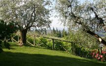 Foto ingestuurd door een gast van Casa Lucia