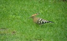 Foto ingestuurd door een gast van Casa Lucia