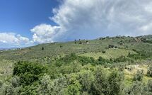 Foto ingestuurd door een gast van Villa Nora