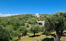 Foto ingestuurd door een gast van Villa di Giovanni