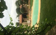 Foto ingestuurd door een gast van Trullo Santo Stefano