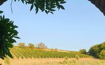 Foto ingestuurd door een gast van Casa Maria Luisa