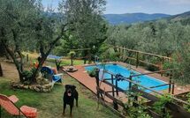 Foto ingestuurd door een gast van La Ruota