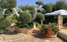 Foto ingestuurd door een gast van Lamia Santo Arcangelo