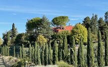 Foto ingestuurd door een gast van Tenuta Cambiano