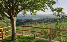 Foto ingestuurd door een gast van San Guido