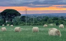 Foto ingestuurd door een gast van Casale San Martino
