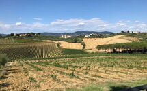 Foto ingestuurd door een gast van Nicola