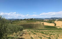 Foto ingestuurd door een gast van Nicola