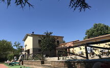 Foto ingestuurd door een gast van Zeffiro