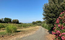 Foto ingestuurd door een gast van Poderino