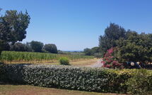 Foto ingestuurd door een gast van Poderino