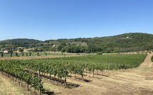 Foto ingestuurd door een gast van Villa Ulivi