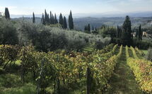 Foto ingestuurd door een gast van Casa Lucia