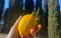 Foto ingestuurd door een gast van Montegufoni