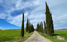 Foto ingestuurd door een gast van Villa Cassia