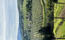 Foto ingestuurd door een gast van Tenuta - Tenuta 4