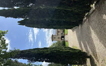 Foto ingestuurd door een gast van Tenuta - Tenuta 4