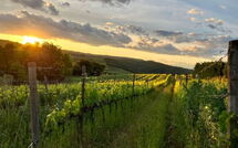 Foto ingestuurd door een gast van Villa Il Caggio