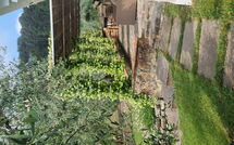 Foto ingestuurd door een gast van Villa Bellostare