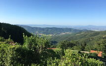 Foto ingestuurd door een gast van Villa Portole Due